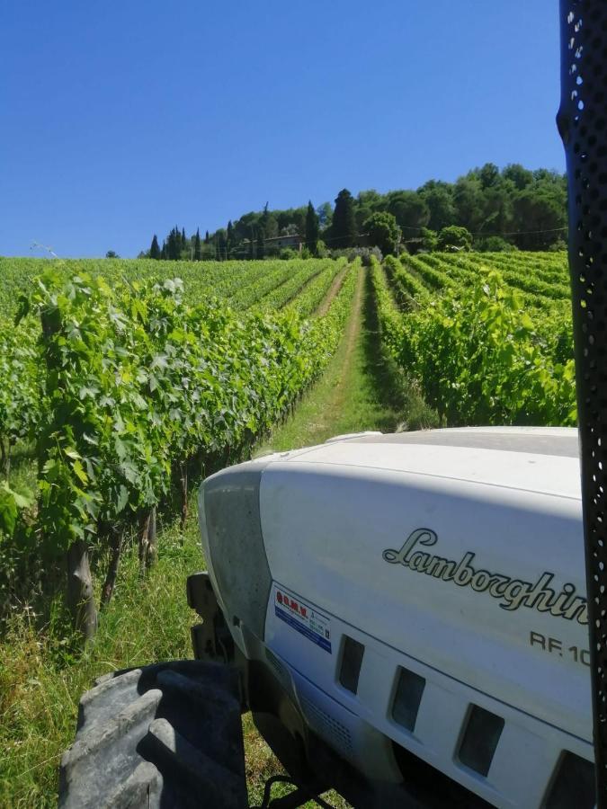 Antico Borgo Di Sugame Greve in Chianti Exterior photo