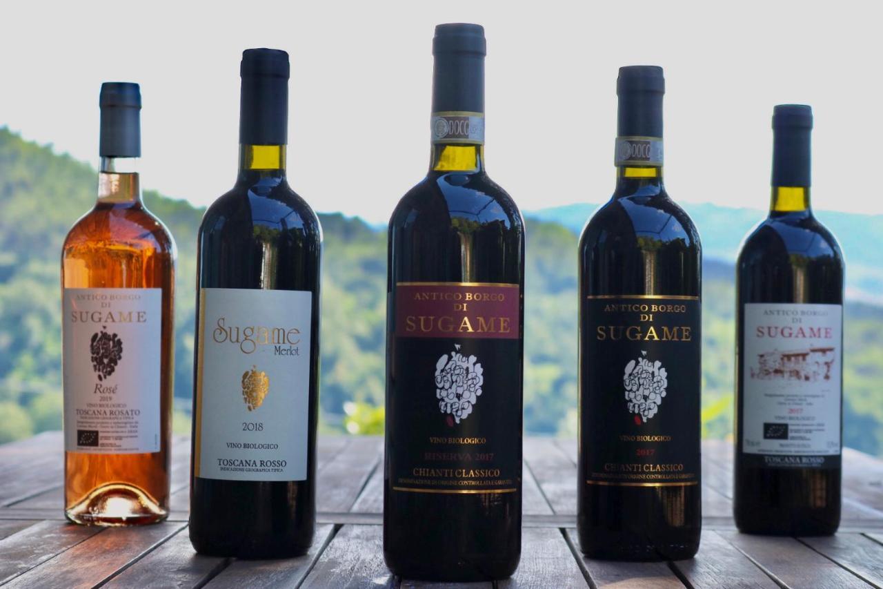 Antico Borgo Di Sugame Greve in Chianti Exterior photo