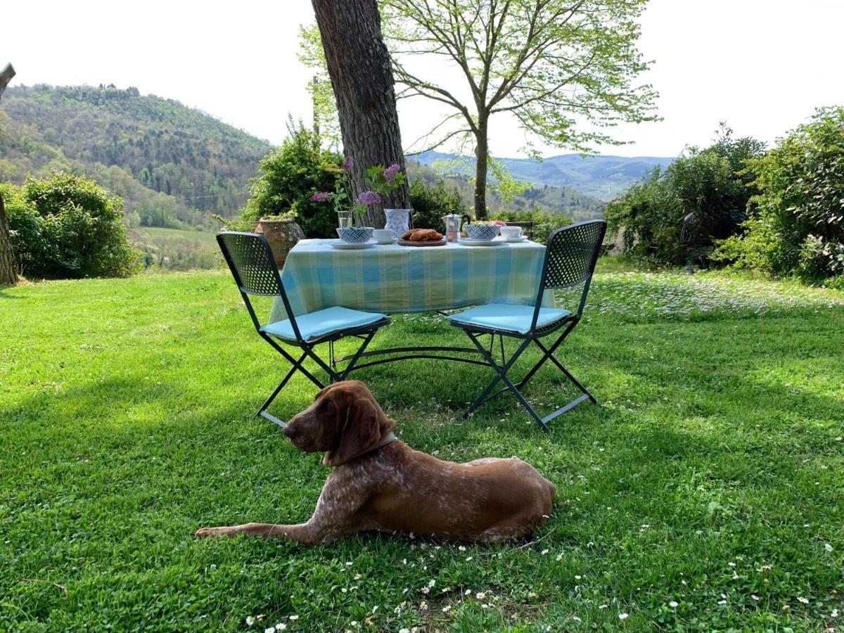 Antico Borgo Di Sugame Greve in Chianti Exterior photo